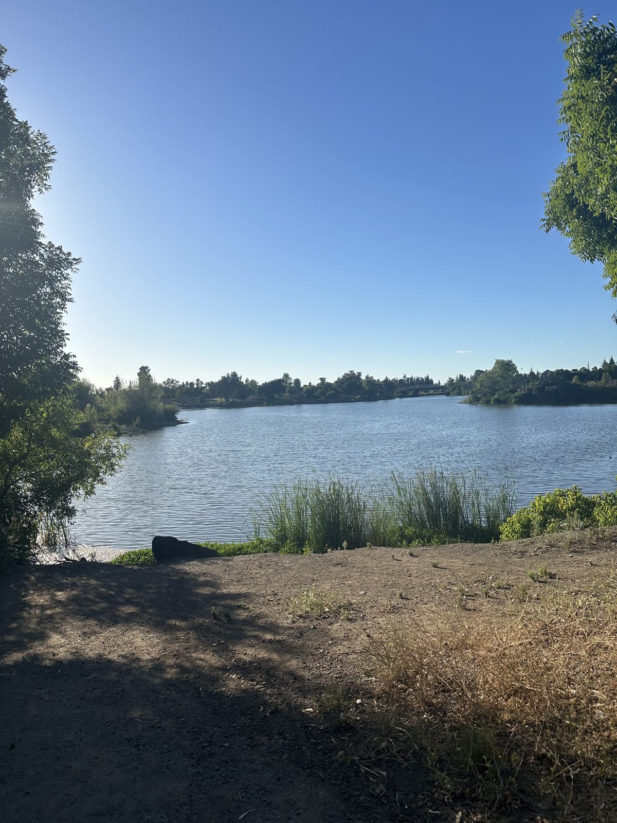 Almaden Lake
