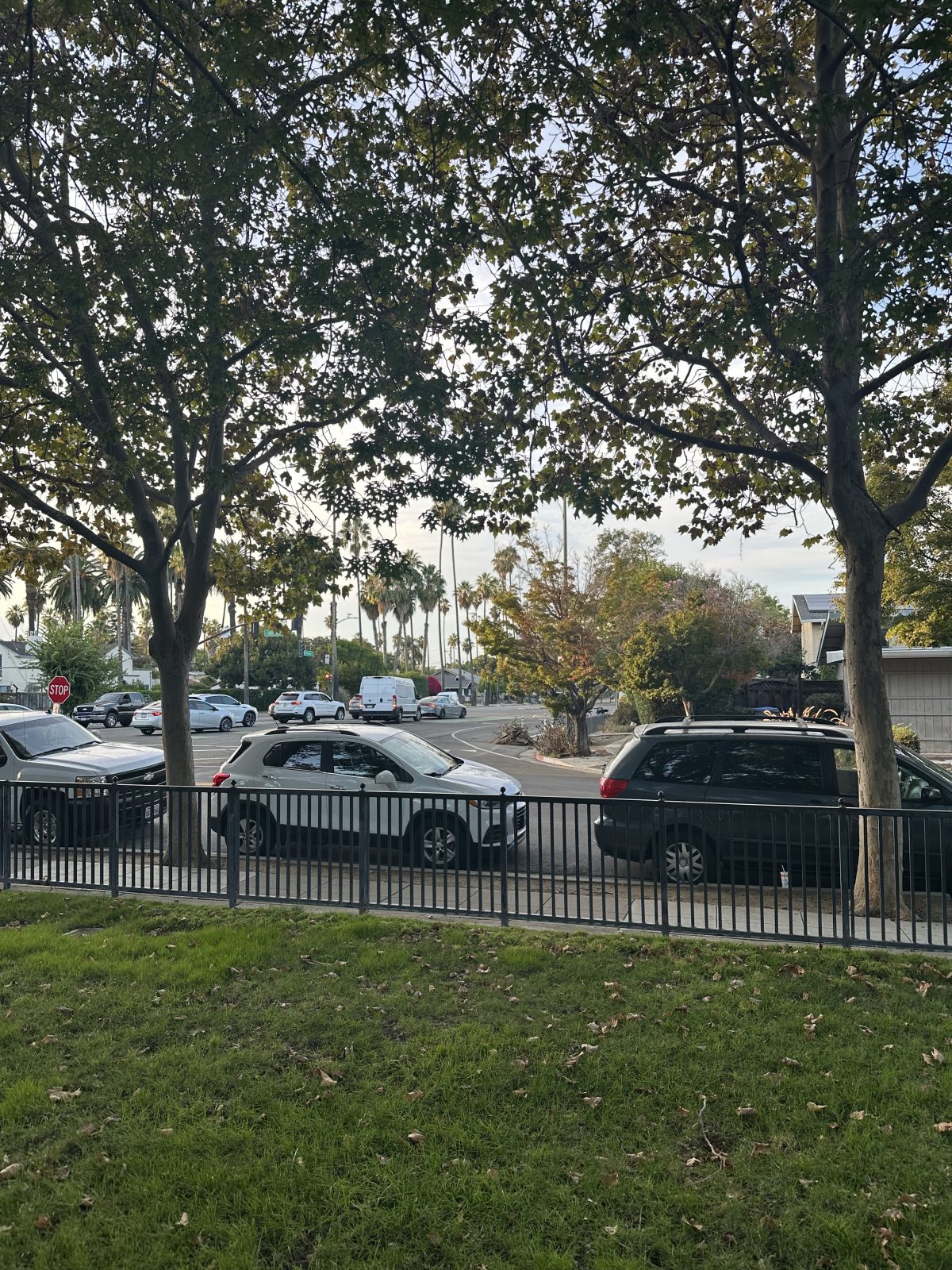 Post image 1